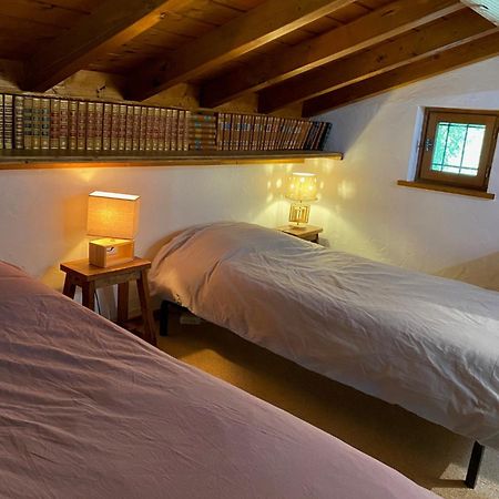 Chalet Erminea Chamonix Zewnętrze zdjęcie