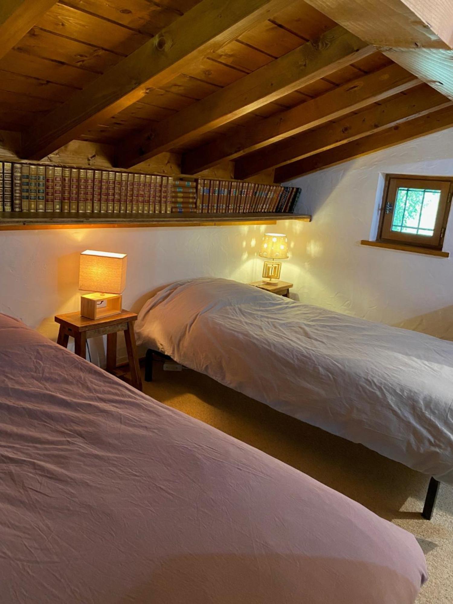 Chalet Erminea Chamonix Zewnętrze zdjęcie